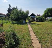 A garden at a family house in Dlhá nad Váhom with a green lawn and a walkway.