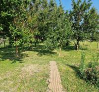 A garden in a family house in Dlhá nad Váhom with fruit trees and a lawn.