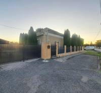 A family house in Kolárovo with tall thujas and a metal fence by the road.