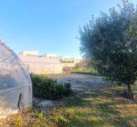 A garden with a greenhouse and a tree near a family house in Kolárovo, blue sky.