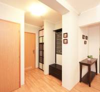 Interior of a family house with a wooden decor floor, colorful cabinets, and a flower pot.