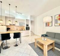 Recreational apartment with a kitchenette, dining table, sofa, and artistic paintings on the wall.