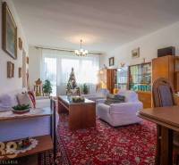 Living room of a family house with furniture, a Christmas tree, and a red carpet.
