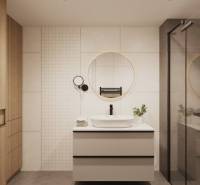 Bathroom with a mirror, modern sink, and wooden elements on storage cabinets.
