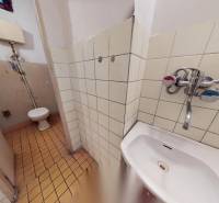 An older bathroom with a sink, toilet, tiles, and damaged walls in commercial premises.