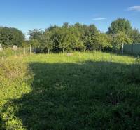 A garden at a family house in Diakovce with lush grass and green shrubs.