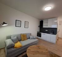 Studio apartment with a kitchen, sofa, and wood-patterned flooring, minimalist wall decoration.