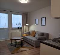 A studio apartment with a wooden floor, a gray sofa, and a coffee table.
