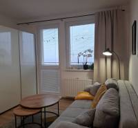 Studio apartment with a comfortable sofa, tables with wooden decor, and a window with curtains.