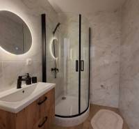 A studio apartment bathroom with a wooden decor floor and a modern shower enclosure.
