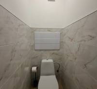 A toilet in a studio apartment with a wooden decor floor and marble-like tiles.