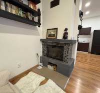 Living room in a one-bedroom apartment with a fireplace, a bookshelf, and a wooden decor floor.