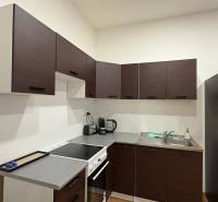 A kitchen in a studio apartment with dark cabinets and appliances, wooden decor flooring.