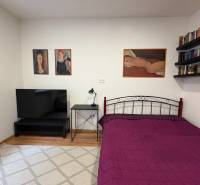 A bedroom in a studio apartment with a television and paintings on bare walls.