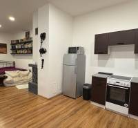 1-room apartment with a kitchen, books, and a bed; floor with wooden decor.