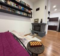 Fireplace, library, and kitchen in a studio apartment with a wood-patterned floor.