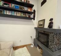 Library and fireplace in a cozy studio apartment with decorative African motif.
