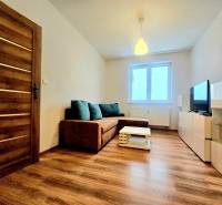 Living room in a two-room apartment with a sofa and wooden decor flooring.