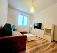 Living room of a two-room apartment with a sofa, television, and wooden decor flooring.