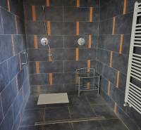 A bathroom with dark tiles, a shower, and a white radiator in a building.