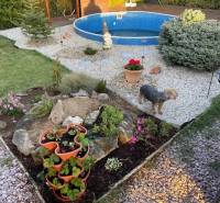 A garden in Kráľová nad Váhom near a cottage with a swimming pool, flowers, and a dog.