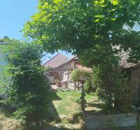 The garden of a family house in Tešedíkovo with lush greenery and smaller trees.
