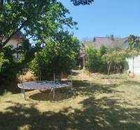 The garden of a family house in Tešedíkovo with a grassy area, a trampoline, and trees.
