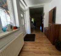 A hallway of a family house with a wooden decor floor, a shoe cabinet, and a plant.