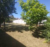 The garden of a family house in Tešedíkovo with a lawn and trees.