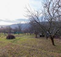 Garden by the Cottage in Prešov, with fruit trees and grass on a sloping terrain.