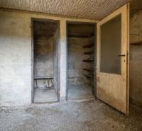 Concrete room in a cabin with shelves, doors, and unfinished floor.