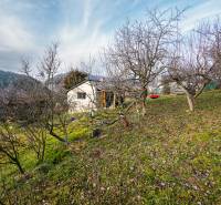 A cottage among fruit trees on a hillside near Prešov during winter.