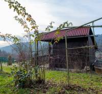 A cottage near Prešov surrounded by greenery, with a bush growing in the yard under an arched structure.