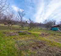 A garden with fruit trees near a cottage close to Prešov, surrounded by nature.