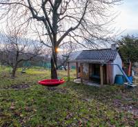 A garden with a small cottage in Prešov and a hanging swing on a tree.