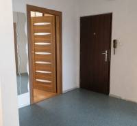 Entrance hallway in a 3-room apartment with wood decor doors and a mirror.