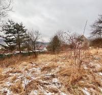 A snowy field and trees near a family house in Poľana in Skalité.