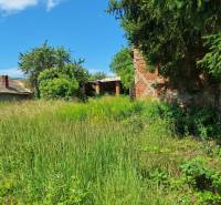 Overgrown plot for living in Radzovce with visible trees and an old building.