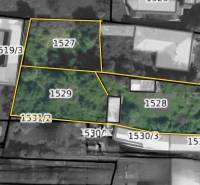 Cadastral map in Radzovce with marked plots for residential land.