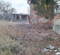 An abandoned residential plot in Radzovce with unmaintained vegetation and old buildings.