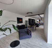 Living room in a family house with a wooden decor floor, gray furniture, and a plant.