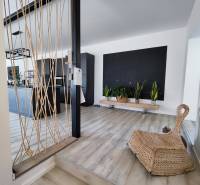 Interior of a family house with a wooden decor floor, plants, and rope decoration.