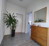 A hallway with a wooden decor floor, a mirror, and a plant in a family house.