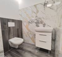 Bathroom in a 2-room apartment with a storage cabinet and a toilet, tiling with a marble design.