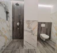 A bathroom in a 2-room apartment with marble tiles and a wooden decor floor.