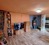 Living room with wood-patterned flooring, fireplace, and television in a family house.