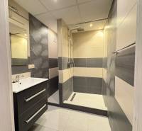 Bathroom with a shower and a sink in a 3-room apartment.