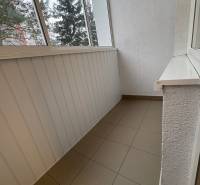 A glazed balcony in a 3-room apartment with ceramic tiles and a view of coniferous trees.