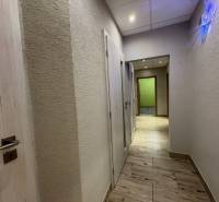 The hallway of a 3-room apartment with a wooden decor floor and walls with a subtle texture.