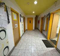 Hallway of a 3-room apartment with tiles, decorations, and decorated doors.